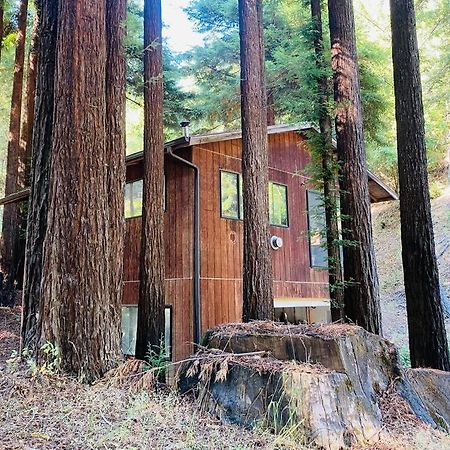 Little House In The Redwoods With A Hot Tub! Garberville Exterior foto
