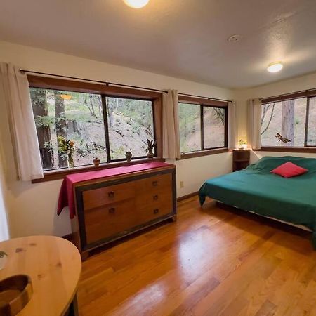 Little House In The Redwoods With A Hot Tub! Garberville Exterior foto