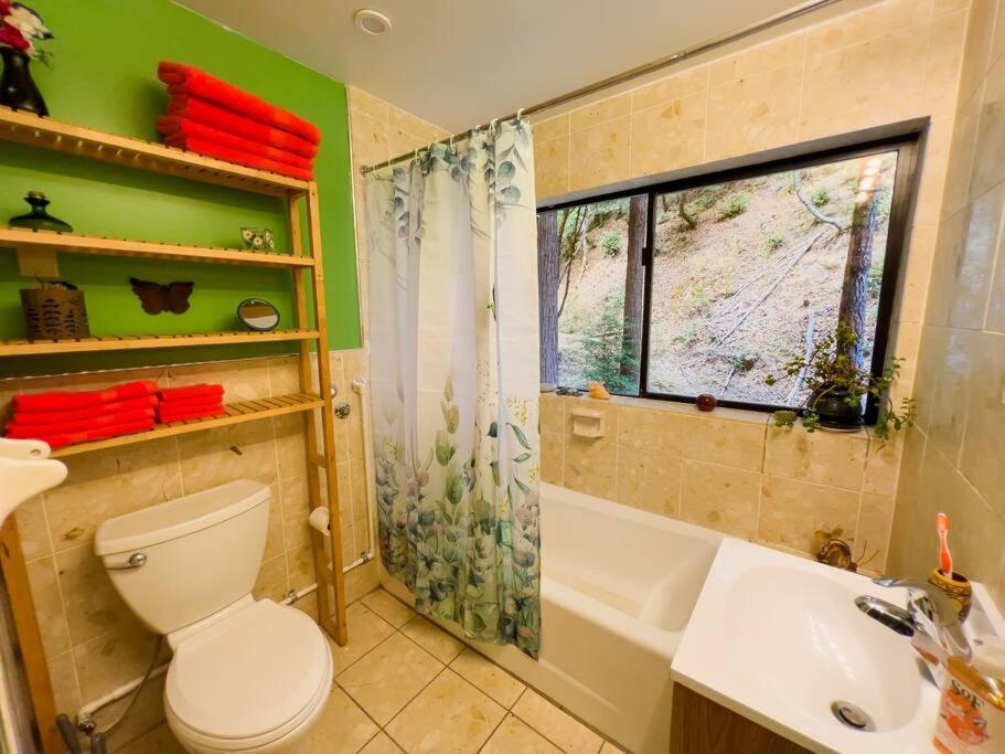 Little House In The Redwoods With A Hot Tub! Garberville Exterior foto