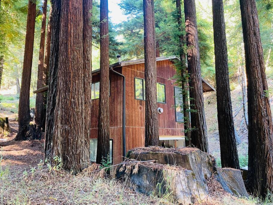 Little House In The Redwoods With A Hot Tub! Garberville Exterior foto