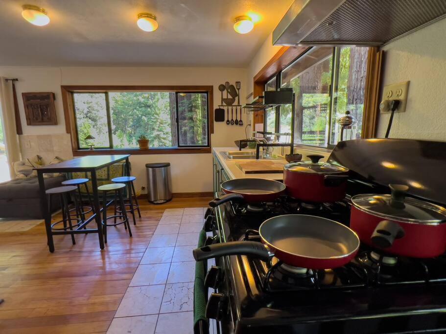 Little House In The Redwoods With A Hot Tub! Garberville Exterior foto